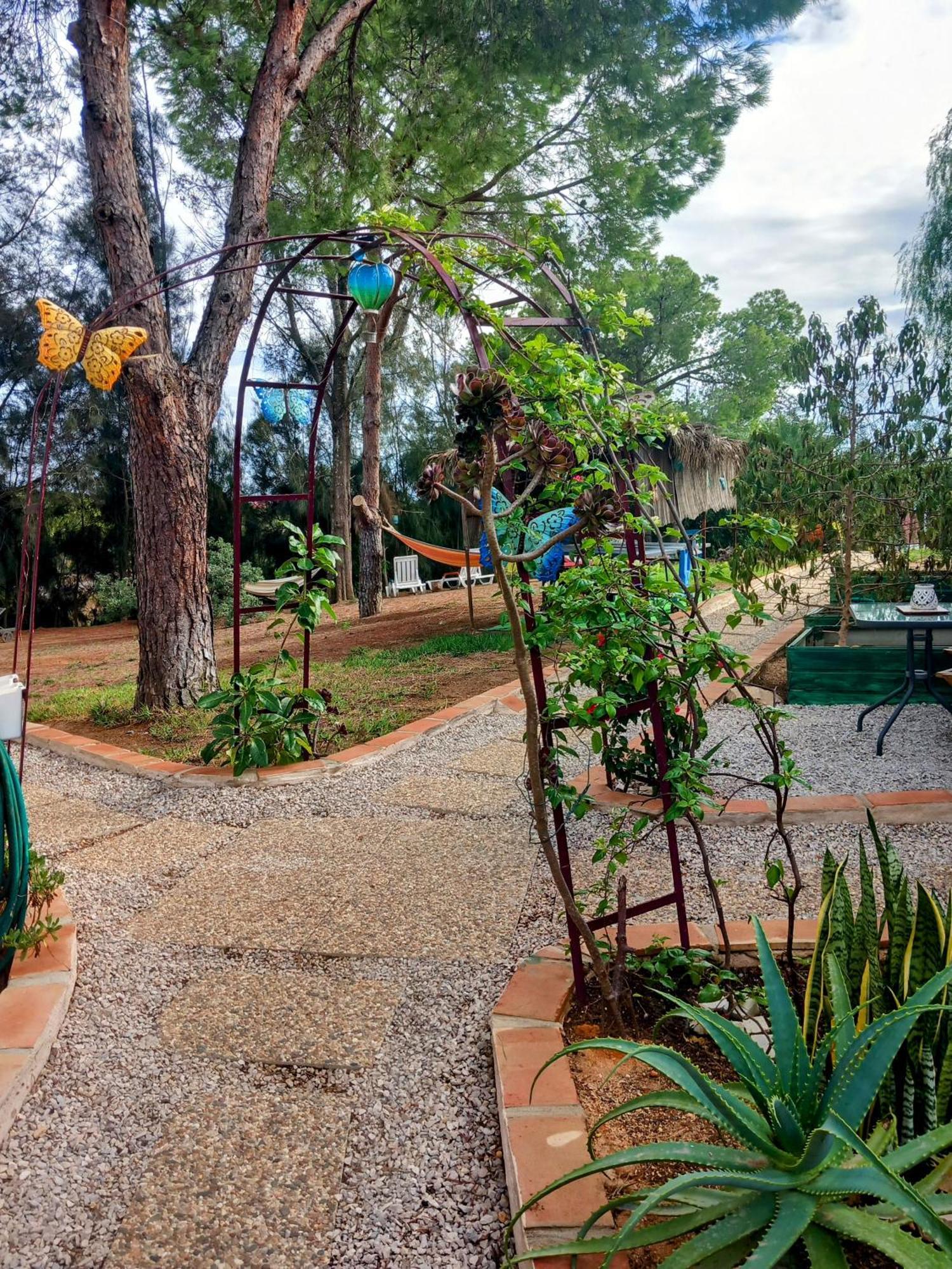 Apartmán Morphee Valdareina, Piscine Chauffee, Benagil-Carvoeiro Carvoeiro  Exteriér fotografie